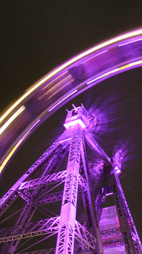 Theme Park (5) screenshot