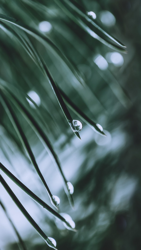 雨露清明 (1) screenshot