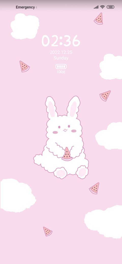 Watermelon rabbit screenshot