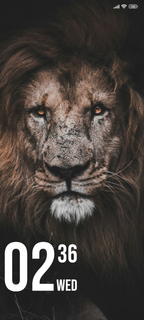 Brown Lion screenshot