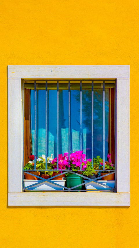 The flowers on the windowsill screenshot