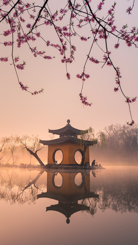 Unique and beautiful scenery thin West Lake 4 screenshot