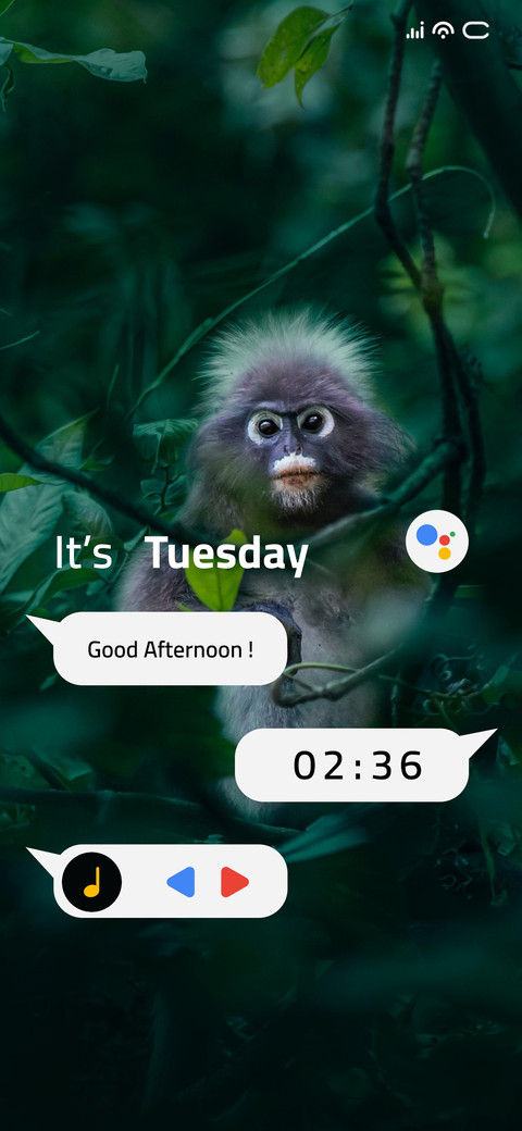 Nosy Monkey screenshot