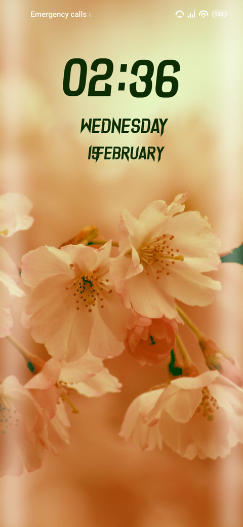 Sakura Flower screenshot