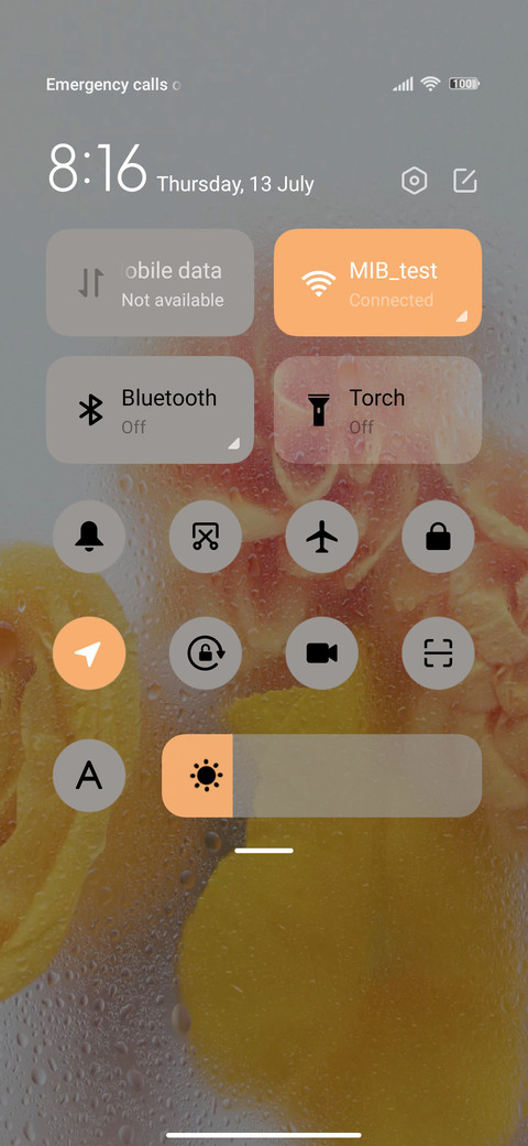  yellow roses screenshot