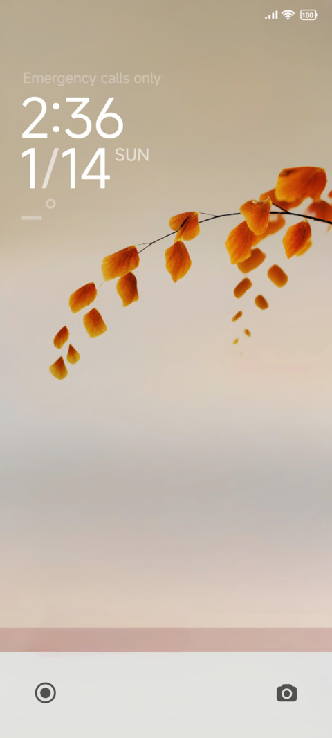 Max One screenshot