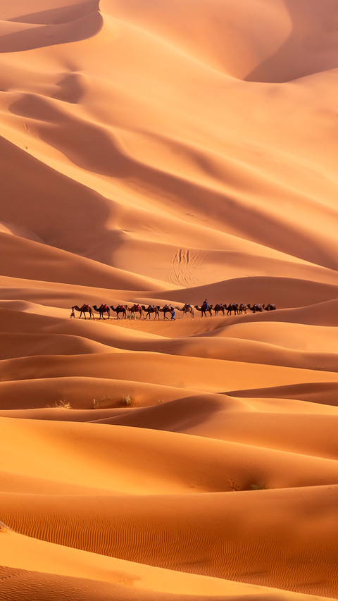 Sand Dune At Sahara Desert In Merzouga, Morocco screenshot