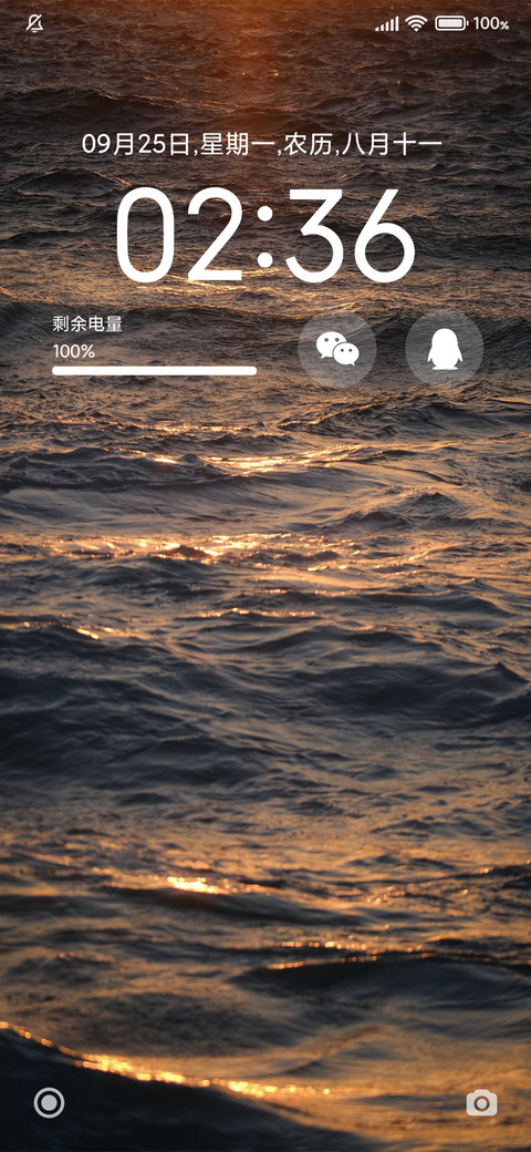 发光的海 screenshot