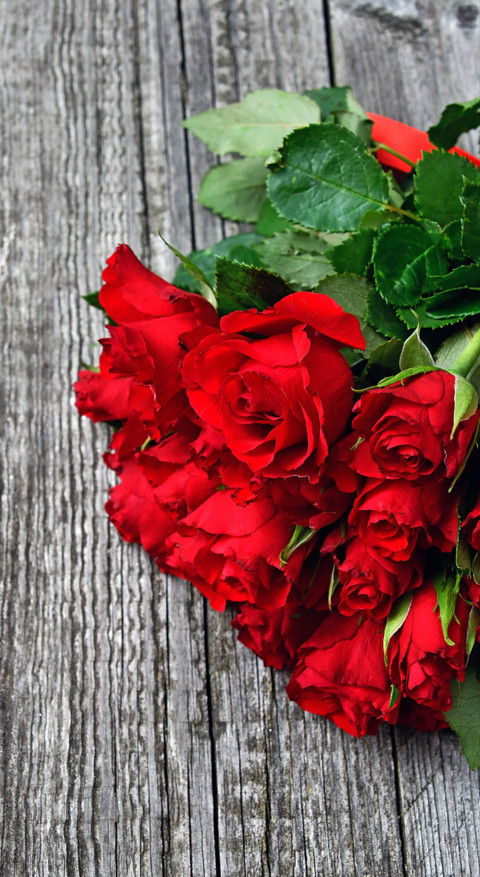Red Roses (17) screenshot