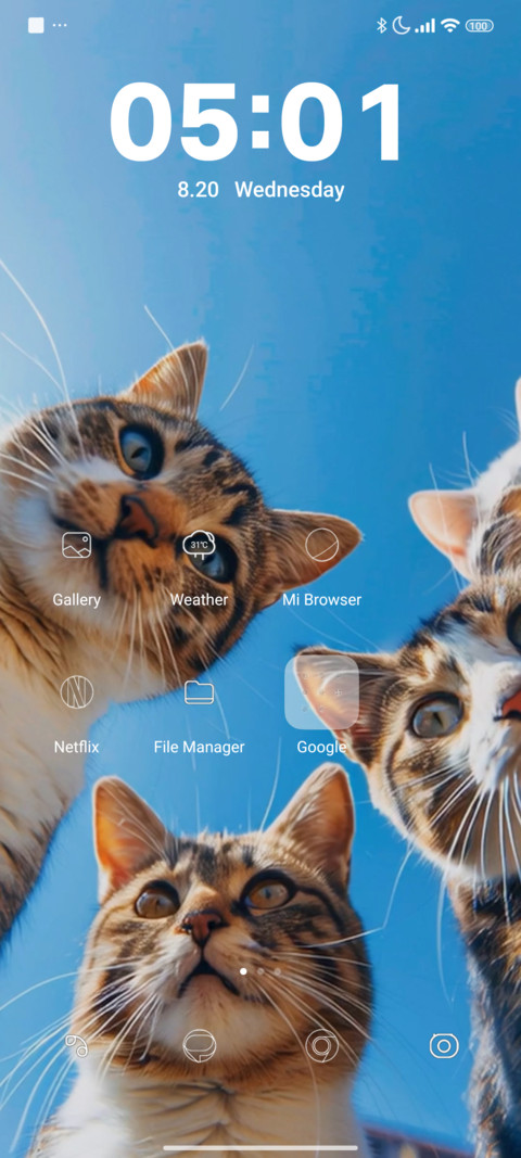 Cats screenshot