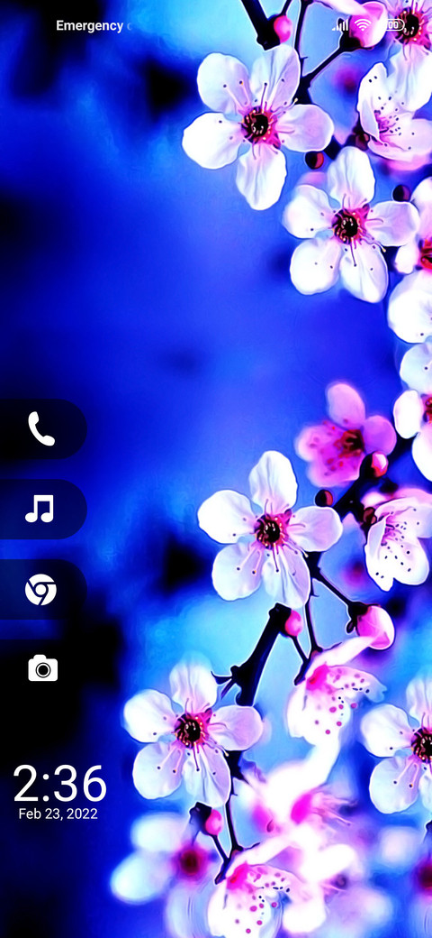 Blossom On screenshot