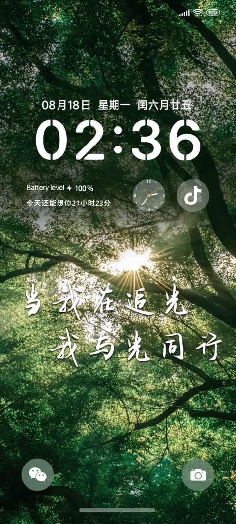 我与光同行ins screenshot