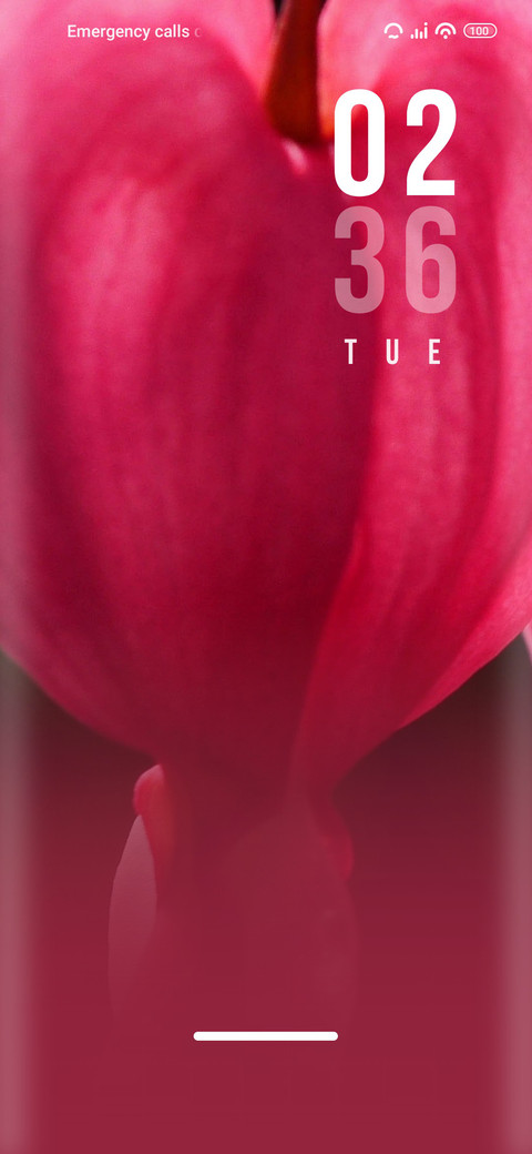 Valentine_heart screenshot