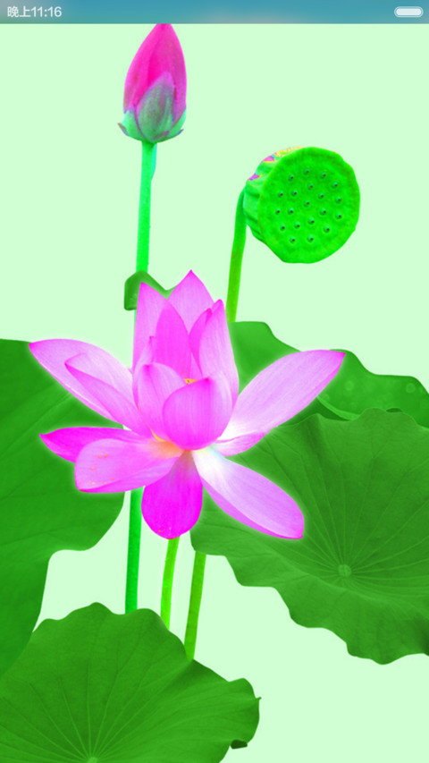 荷塘花瓣iOS锁屏 screenshot