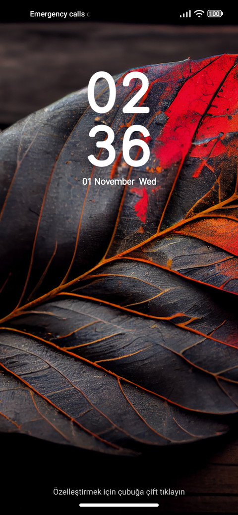 Bozkurt_6 screenshot