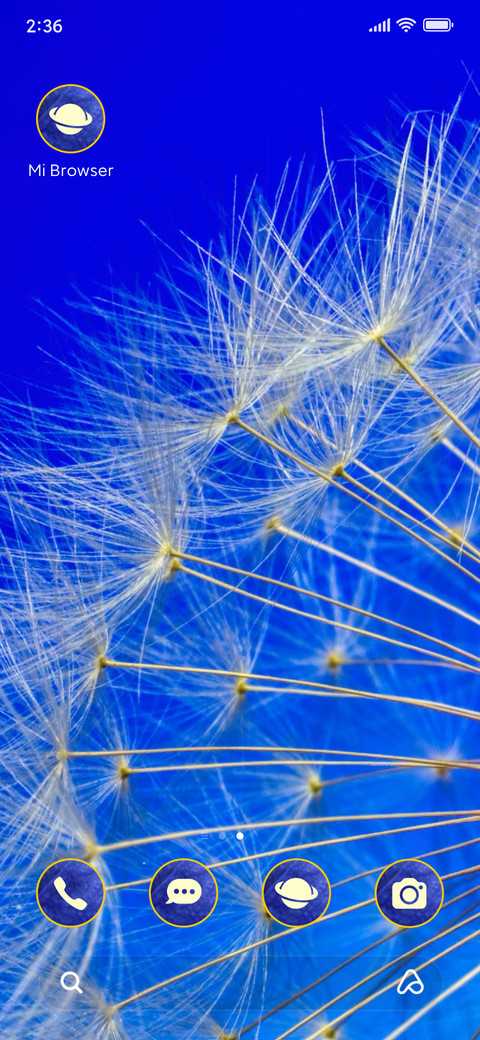 flowers dandelion screenshot