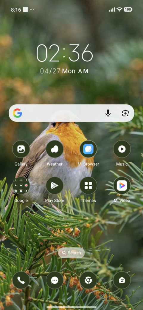 Bird Belly screenshot