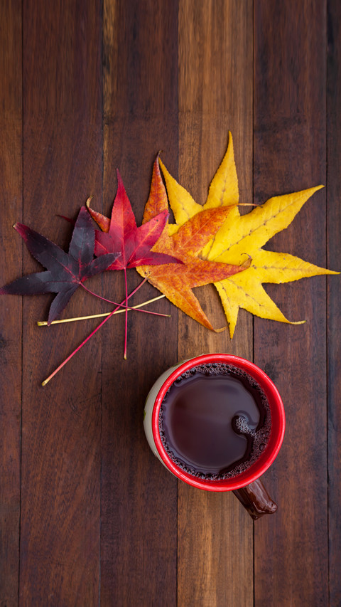 International-autumn screenshot