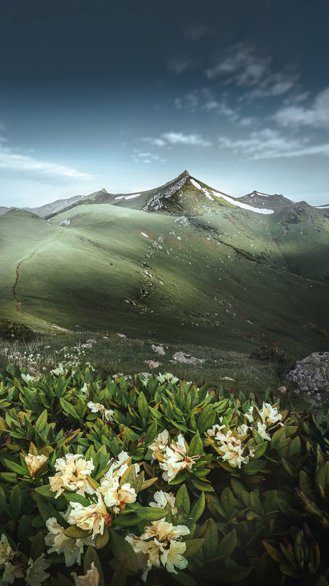 A fairytale landscape recognized throughout the united screenshot