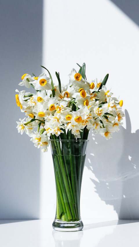 A bouquet of white daffodils in glass vase on the table screenshot