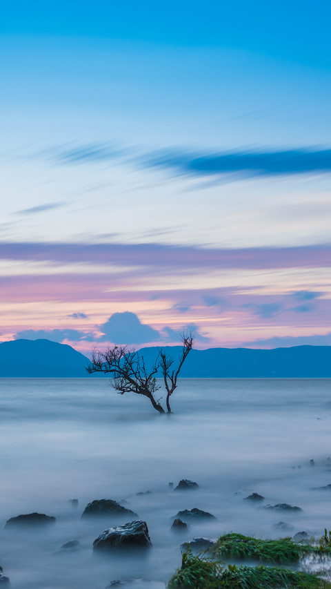 Sunset Scenery of Dianchi Wetland in Kunming, Yunnan screenshot
