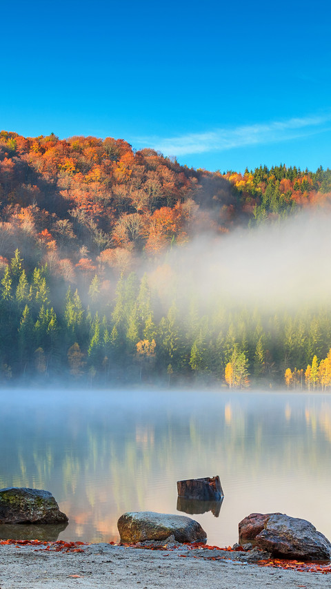 Lake screenshot
