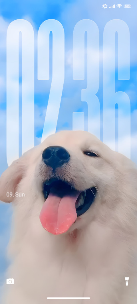 Angel Dog screenshot