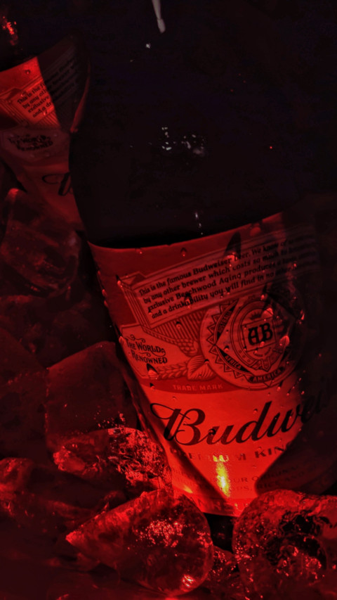 Beer Lovers Day (1) screenshot