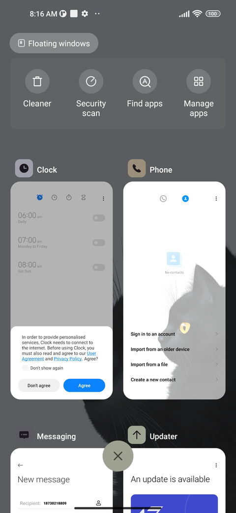 Black Cat screenshot