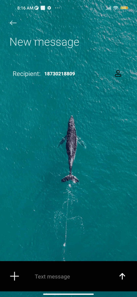Whale emergence screenshot