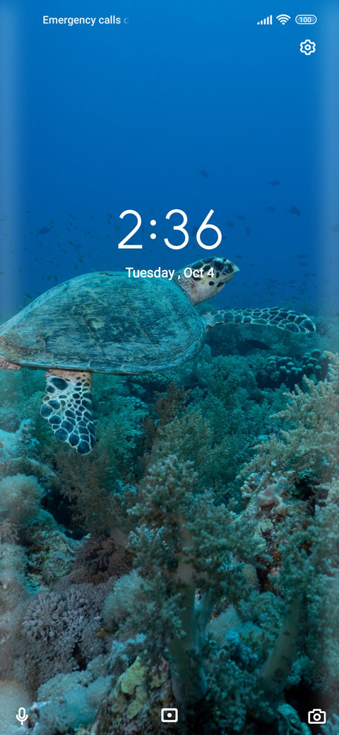 Ocean screenshot