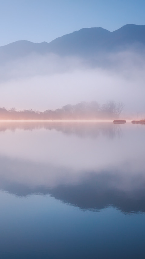 The autumn morning mist over shenlongjia is deep screenshot