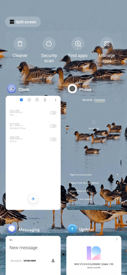 bird watching screenshot