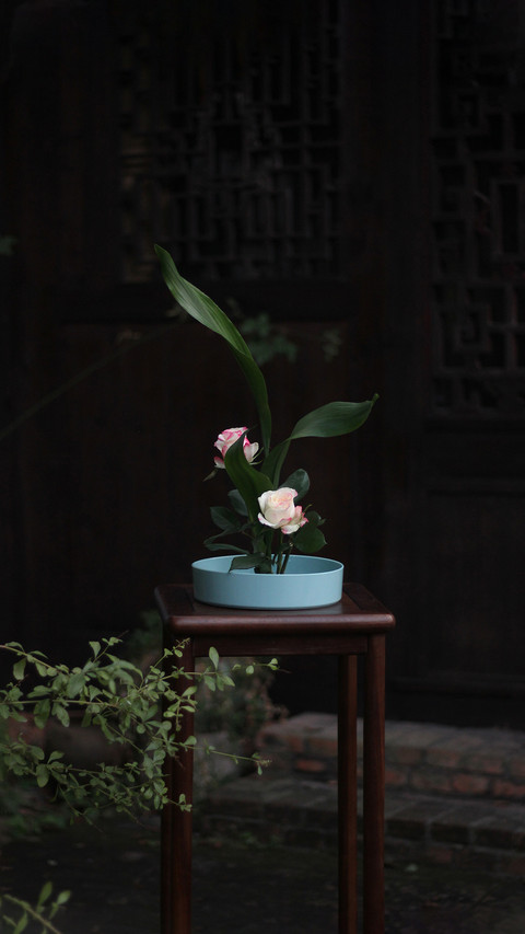 家居插花保鲜小技巧 screenshot