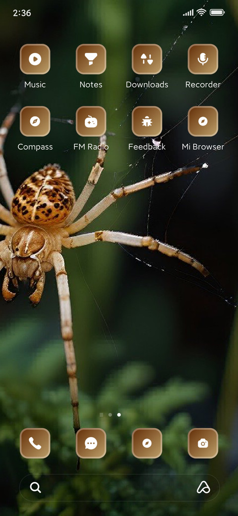Spider screenshot