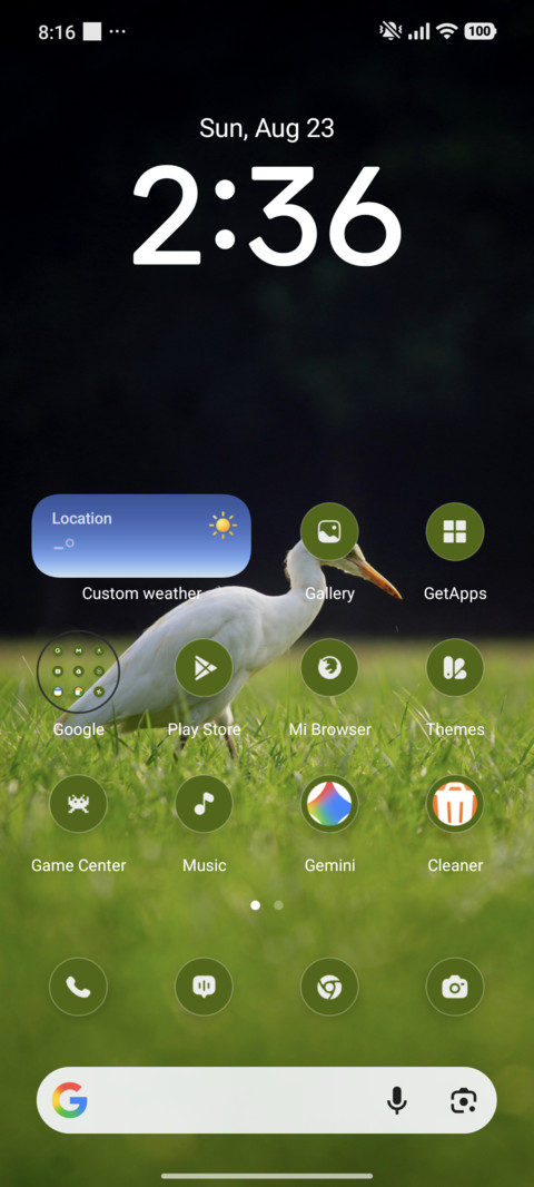 White Bird screenshot