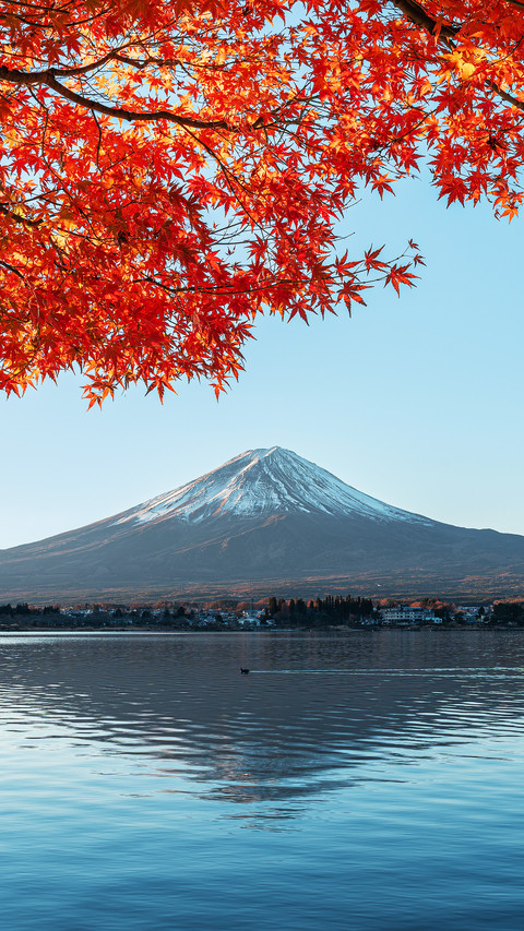 Who can own mount fuji by love screenshot