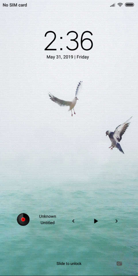 SeaGulls_DWM19 screenshot