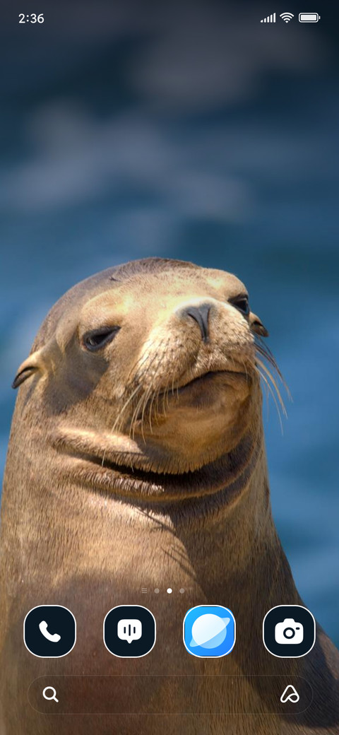 Seal in Sea screenshot