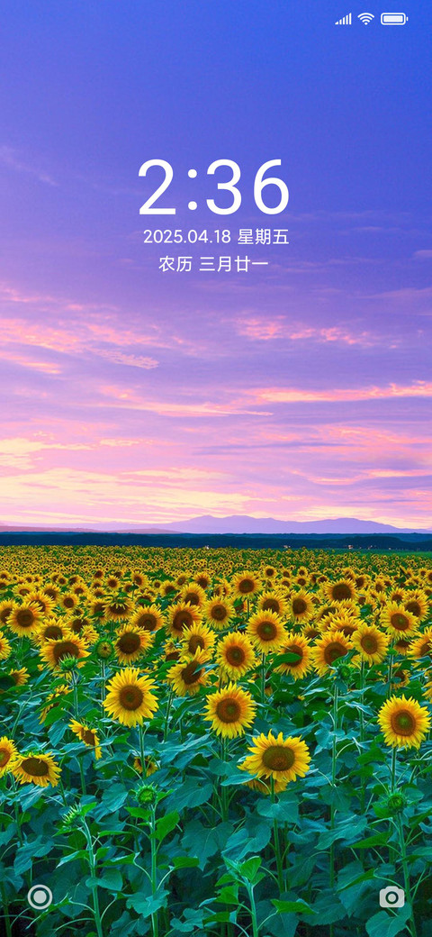 唯美清新向日葵 screenshot