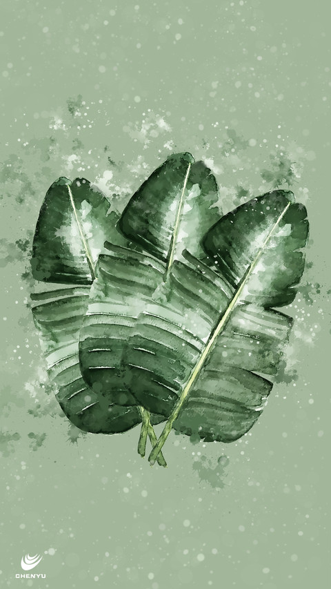 辰宇文创-植物叶子 screenshot