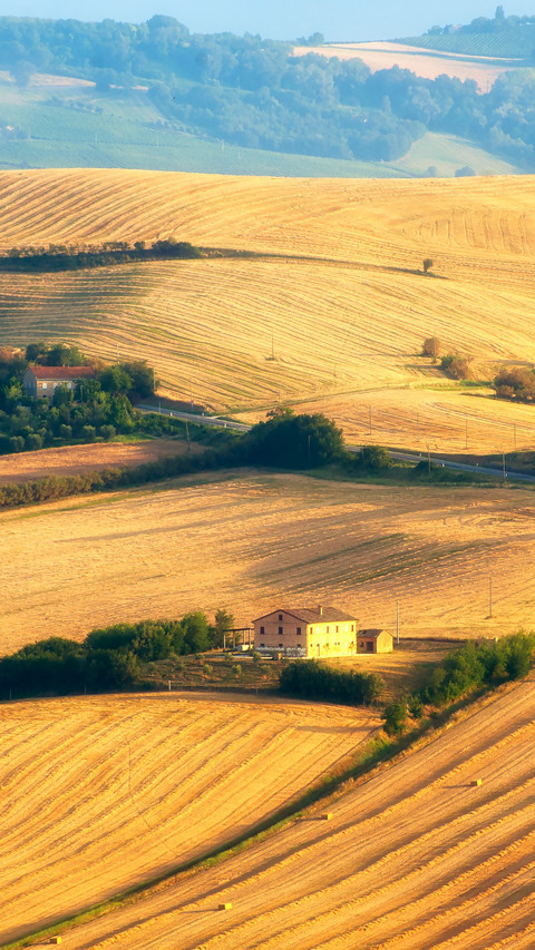 Summer Farm Scenery in Marche screenshot