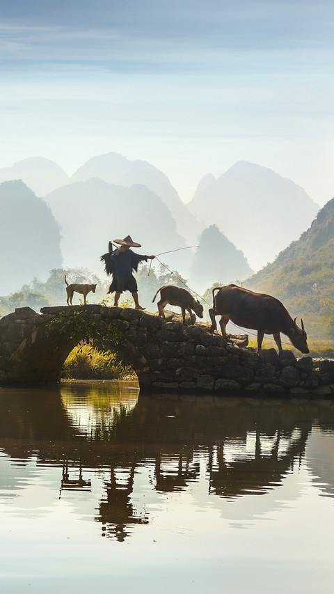 Chinas newly added agricultural cultural heritage 2 screenshot
