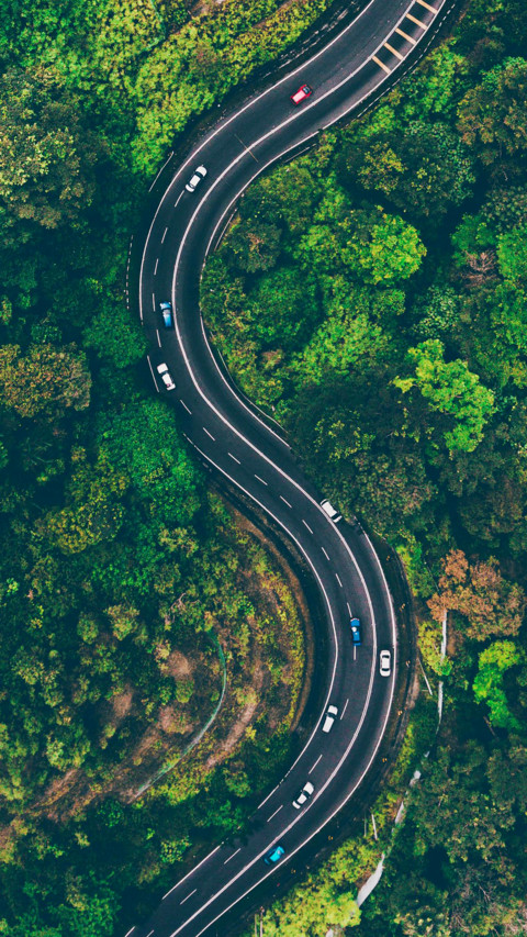 Green Avenue screenshot