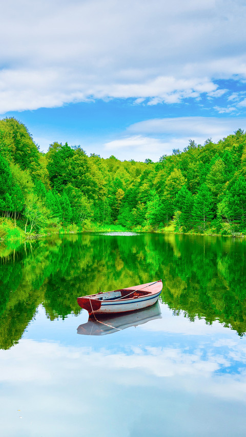Lake Landscape in the Forest screenshot
