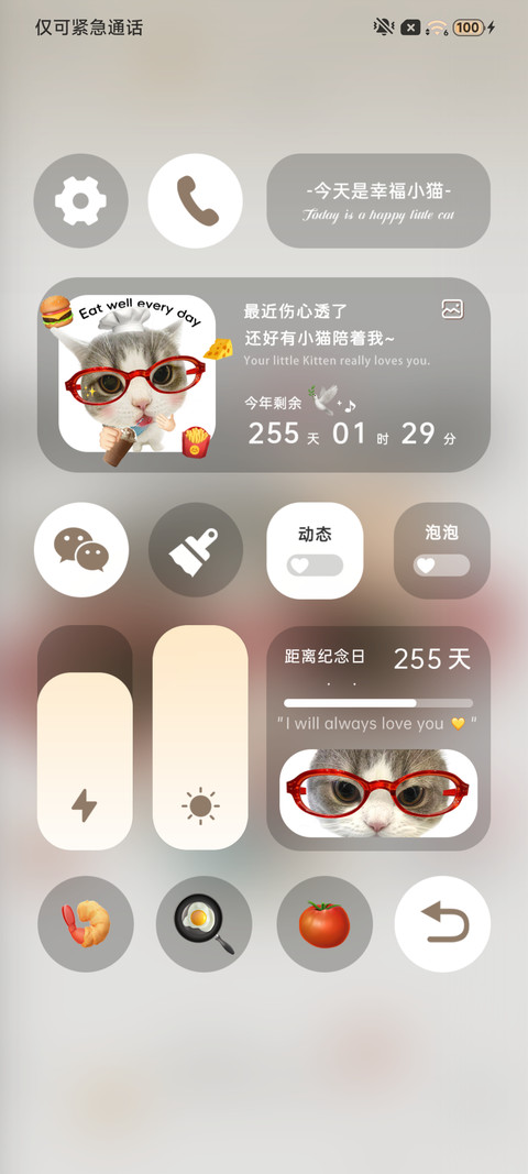 多图 搞怪小猫 screenshot