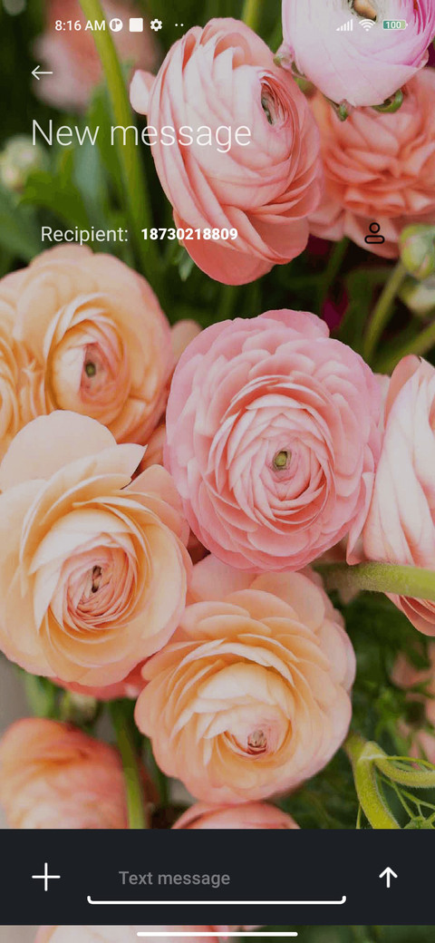 Pink rose screenshot