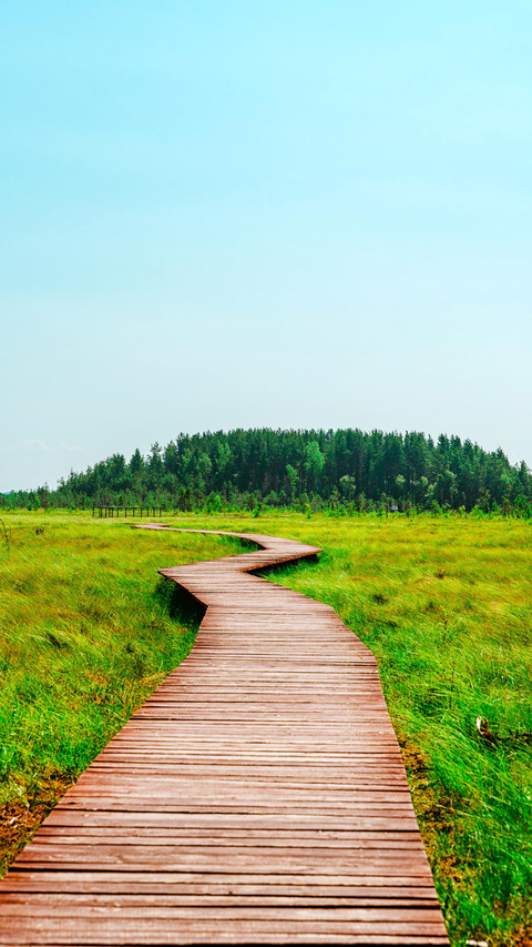 Quiet Nature Trail, beautiful landscape screenshot