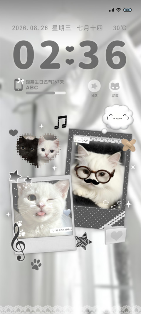 韩系拍立得波点小猫 screenshot