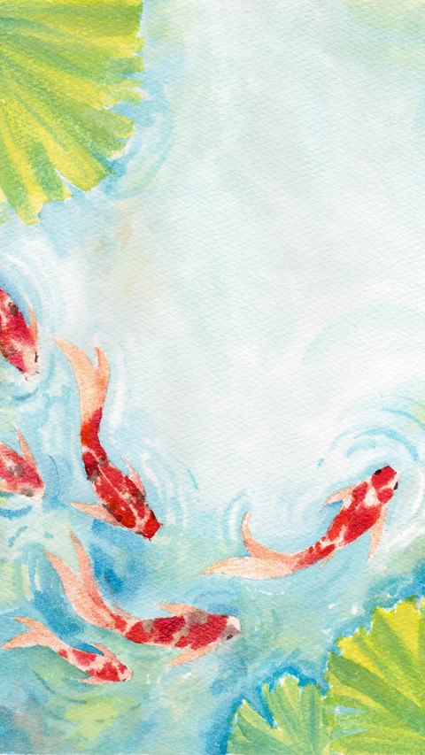 Lucky Koi Fish Illustration screenshot